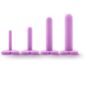Wellness 4 Piece Silicone Dilator Kit in Purple
